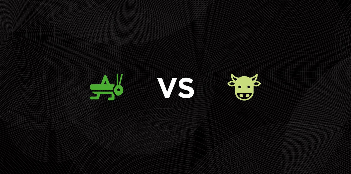 Cricket VS Beef sutsainable protein