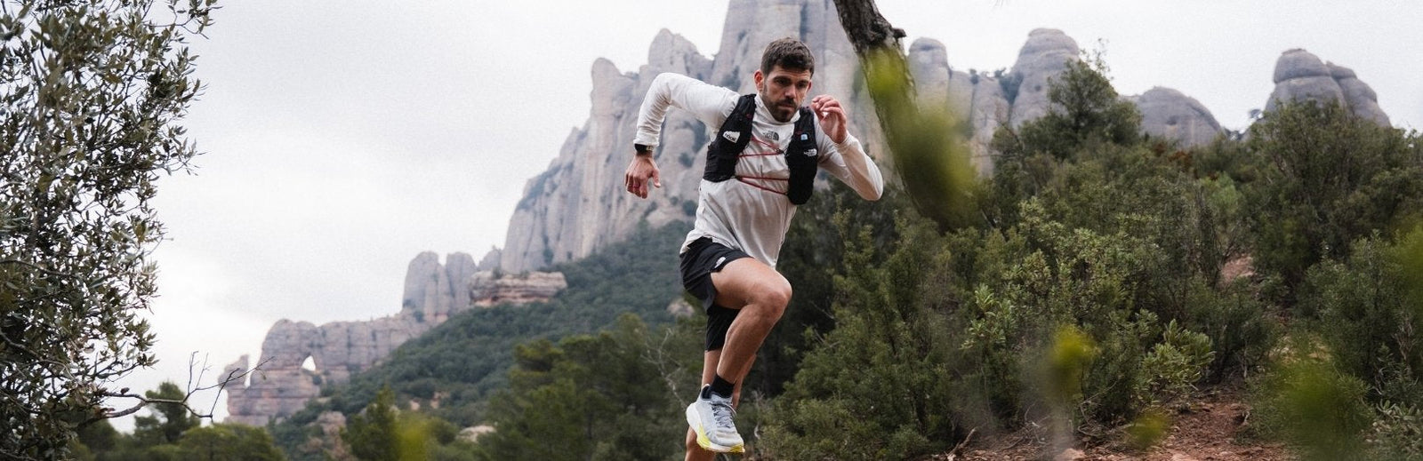 Pau Capell's favorites