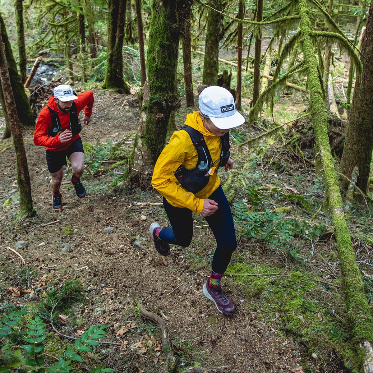 Miscela di bevande energetiche - Lime - Sacchetto